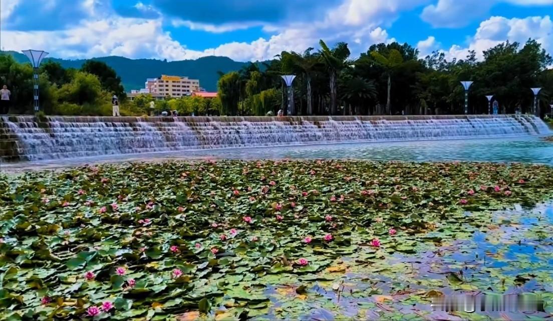 夏日生活打卡季夏日时光，静谧悠长，如诗如画，令人向往。