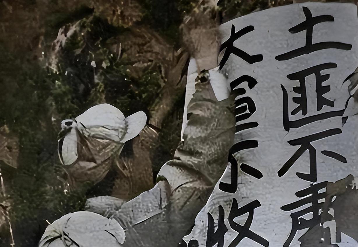 我们回顾历史，就会惊讶地发现，凡是毛主席领导建立根据地的地方，例如江西、福建和陕