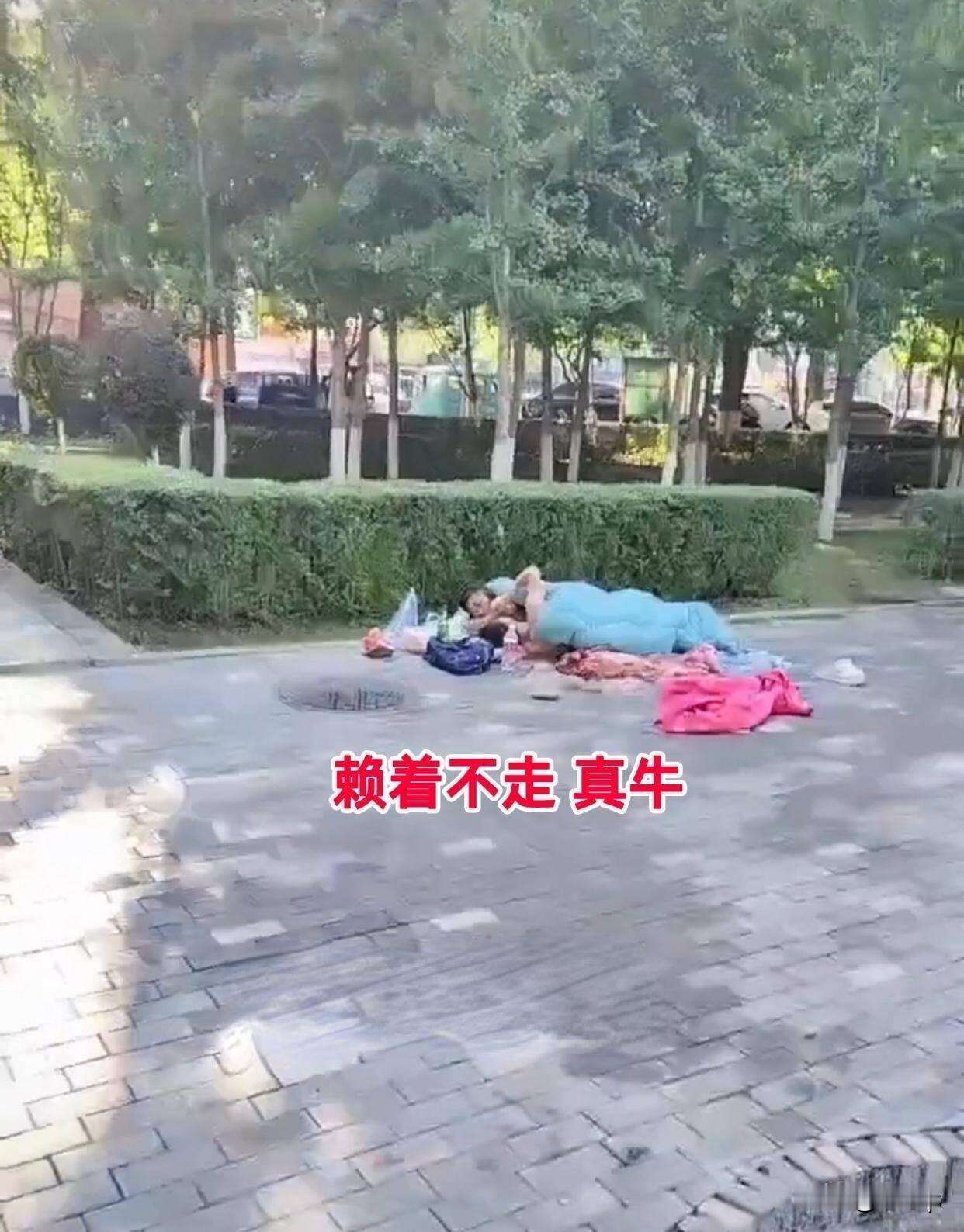 这是遇到什么难处了？
通辽一名男子和女子在公园里打地铺
据知情人士透露俩人已经在