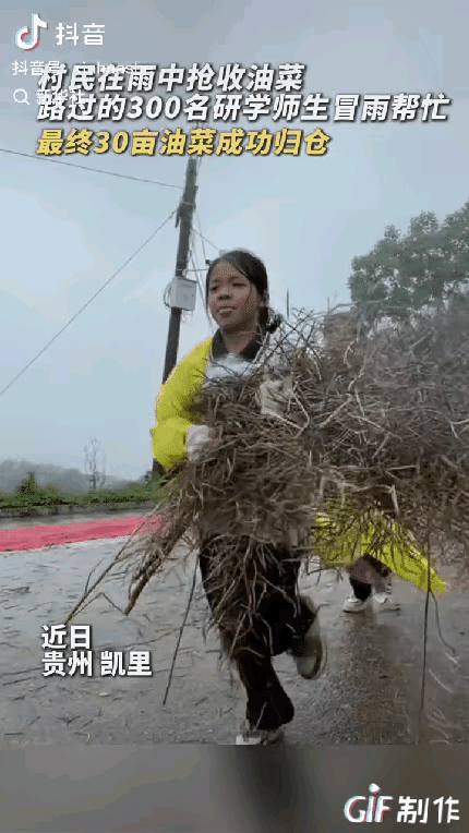 孩子们说比考100分还开心，这300个孩子才是真正的研学！贵州凯里有几百亩的油菜