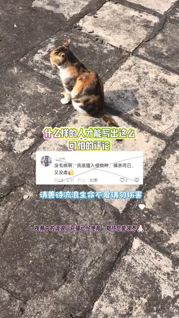 什么样的人才能写出这么可怕的评论？
没毛病，流浪猫入侵物种，捕杀而已。请善待流浪