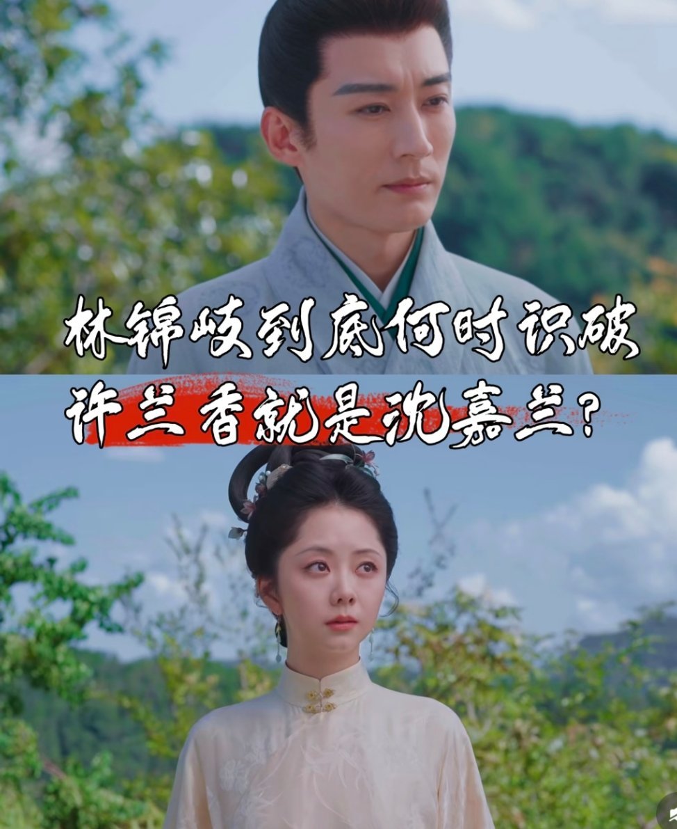 林锦岐到底何时识破，许兰香就是沈嘉兰“刷好多解说发现大家分歧好大。一部分人说求赐