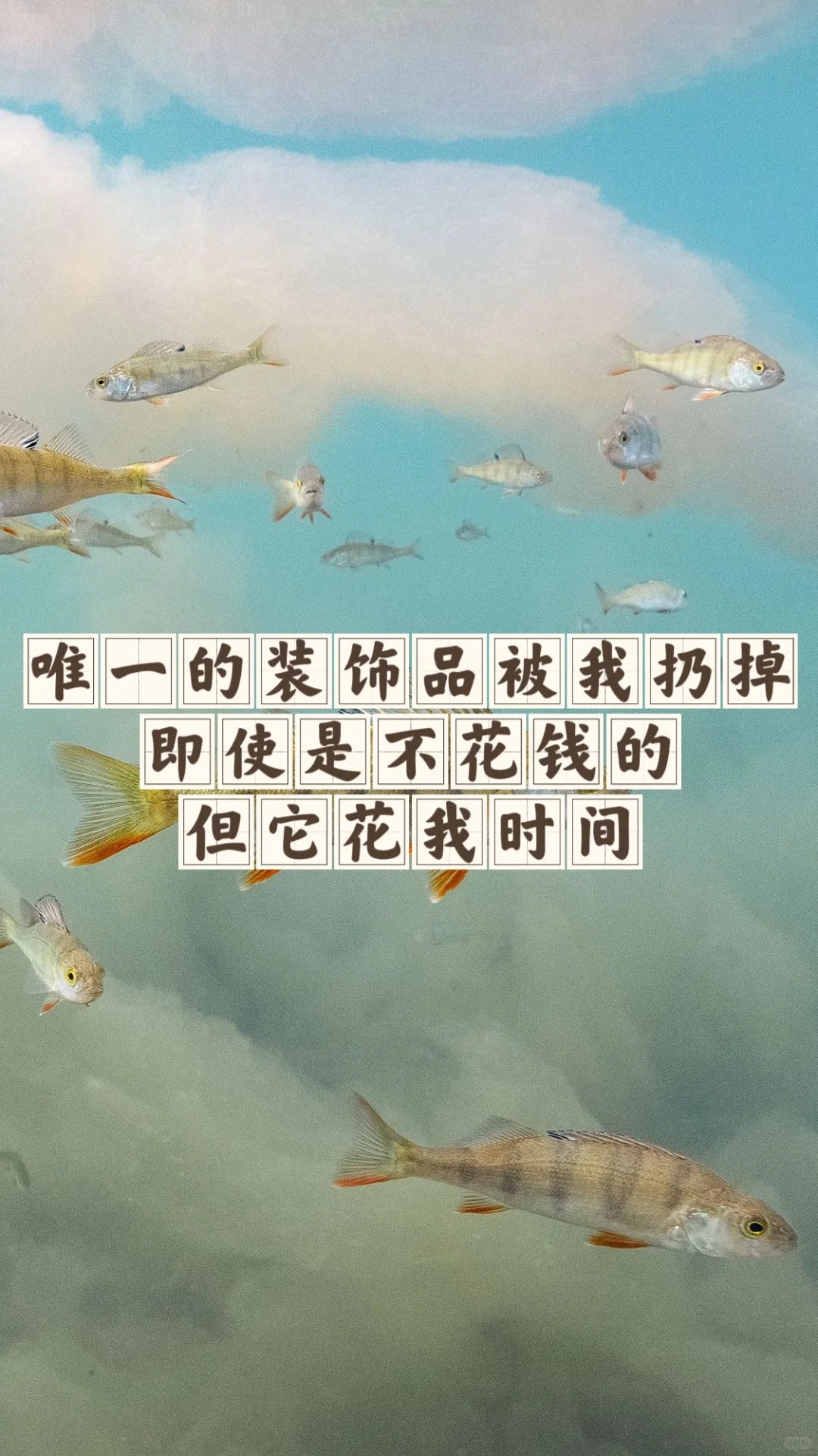 省钱经546:咖啡空瓶和要来的吊兰，需要加水