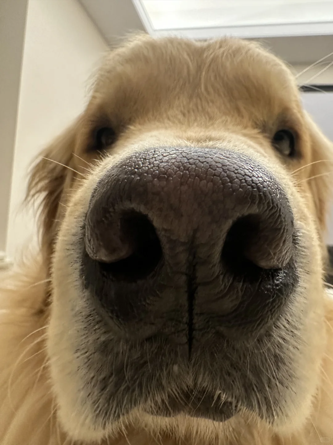 早上坏，人，我右边的眉毛为什么消失了两根？