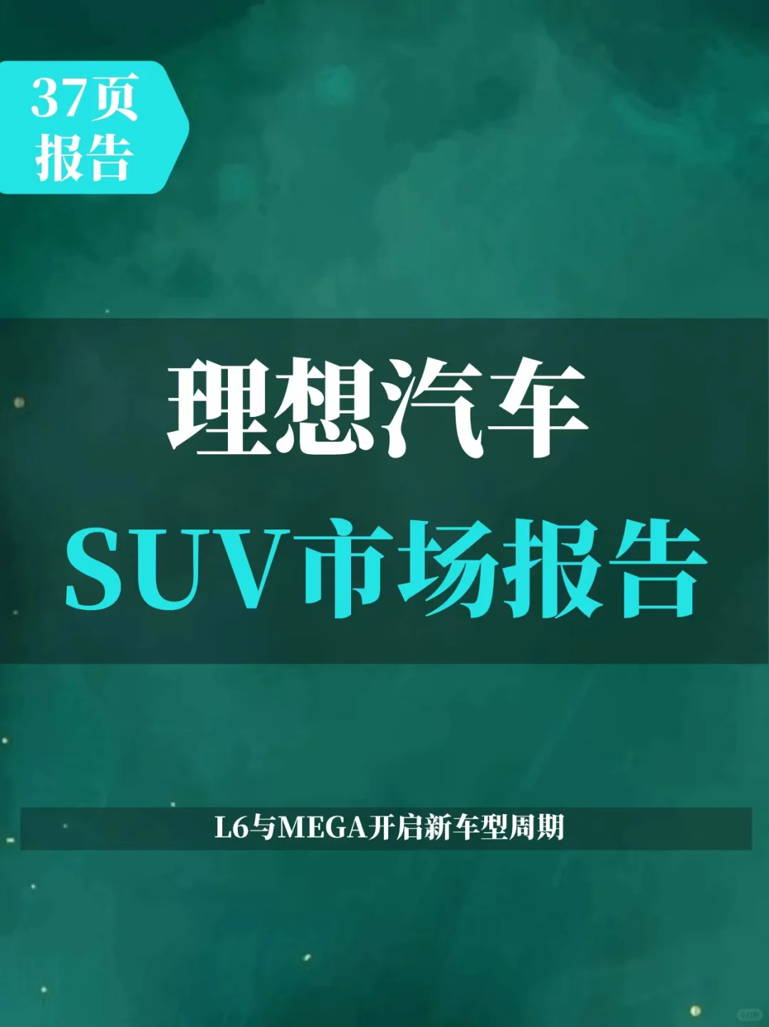 理想汽车家庭SUV市场报告