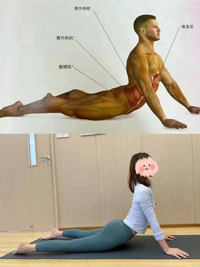 据说这一套动作叫最伟大的拉伸 