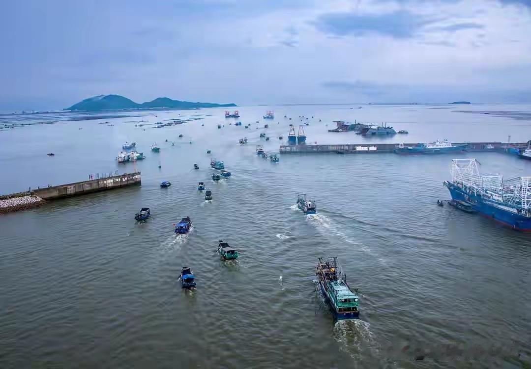 菲律宾在南海频繁制造海上摩擦、高调对外挑衅，总能第一时间抢占舆论焦点。越南却始终