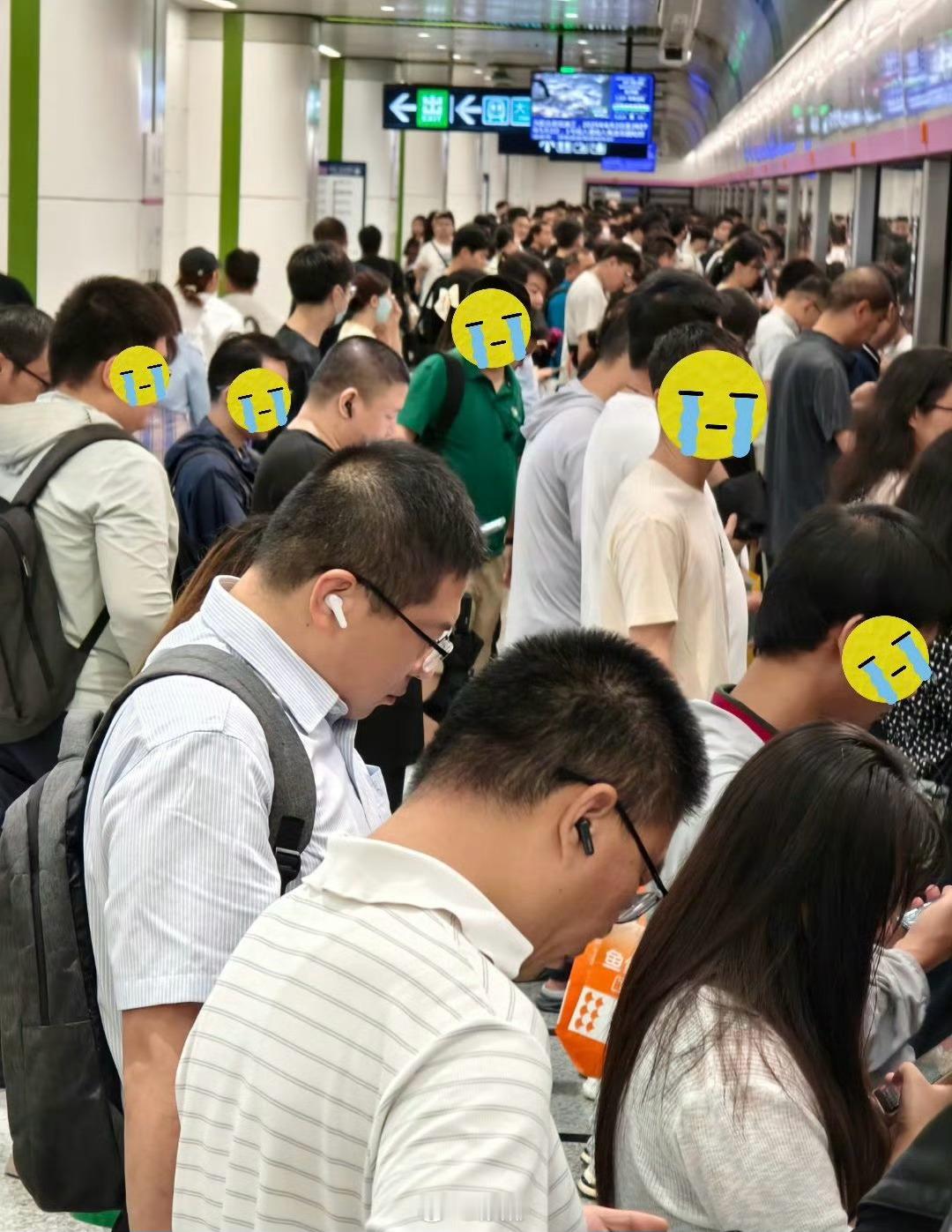 网友：工作的牛马化身河马开始淌河上班！居家办公聚焦北京暴雨 ​​​