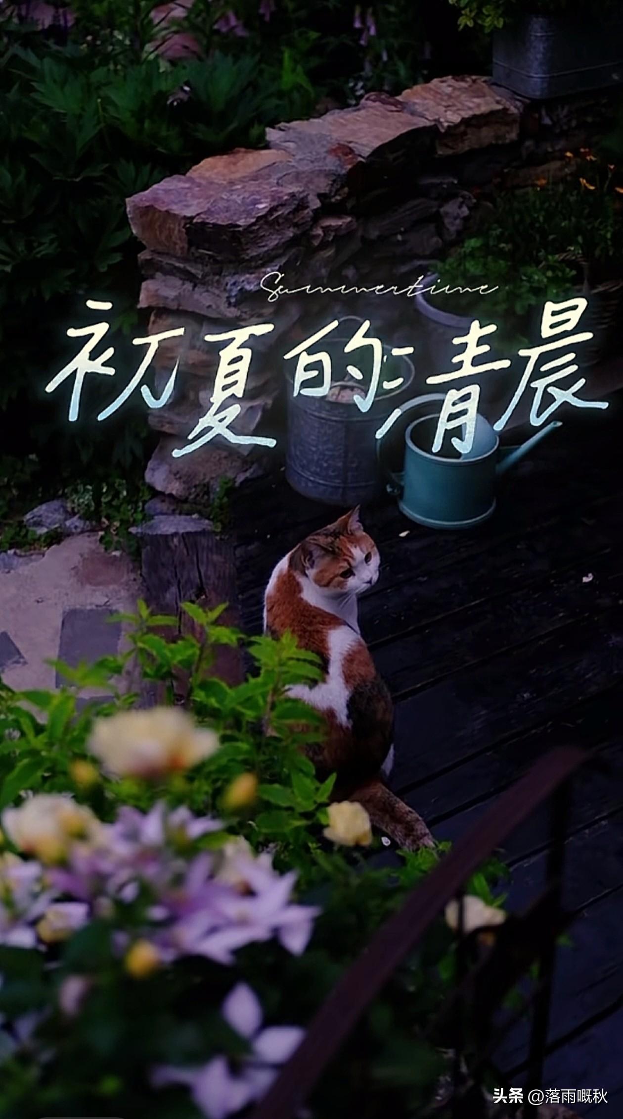 ᦦ້ᮨ꯭໌   ˗ˋˏ ♡ ˎˊ˗ ·𝒘𝒐𝒓𝒌𝒊𝒏𝒈  𓀨
﹊﹊