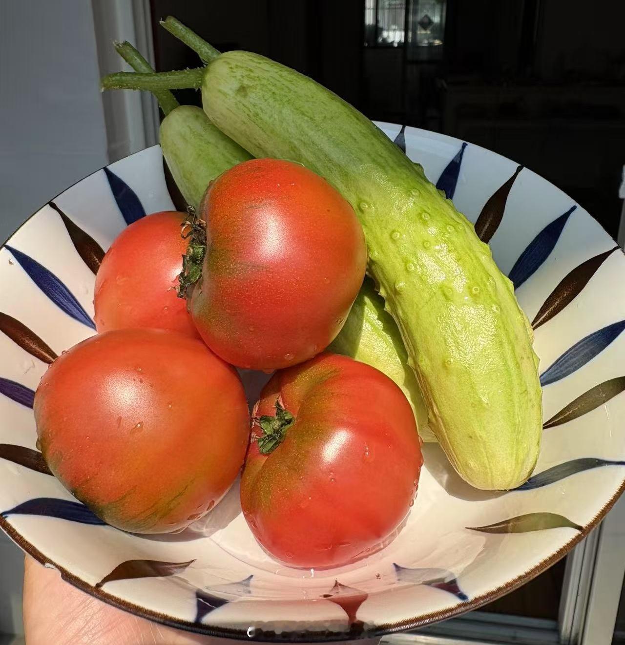 最近超级爱这两款🥒🍅小时候的味道，超级好吃😋 ​​​