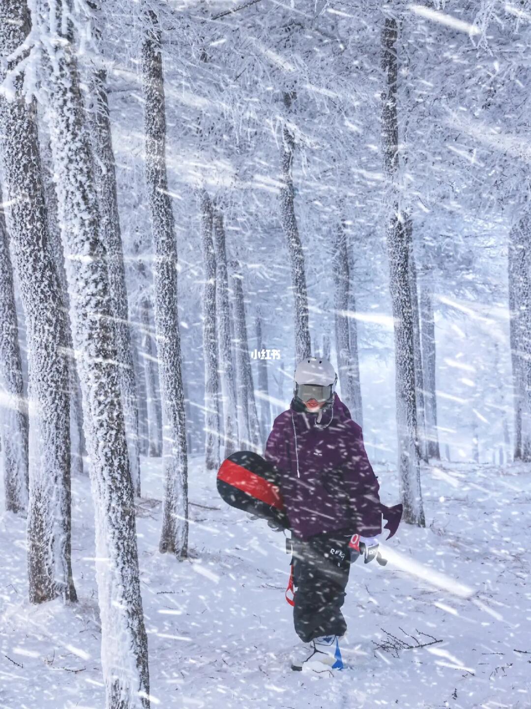 不去东北也能看雾凇‼️万龙滑雪攻略😝