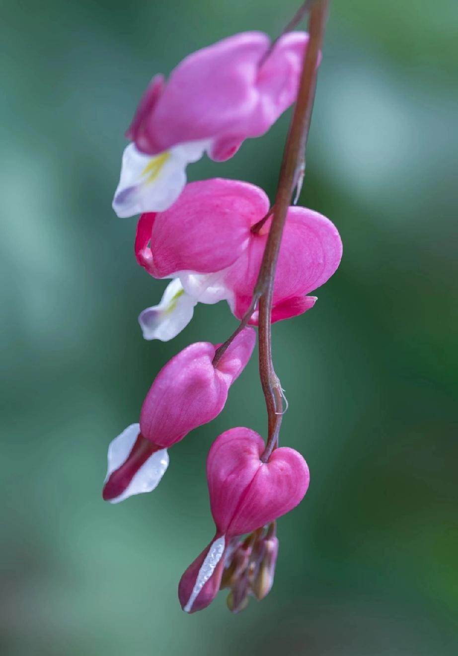 郓城县黄集镇七户 脱



【沿革】明初，叶、于、王、曹、刘、李等7姓迁此居住，