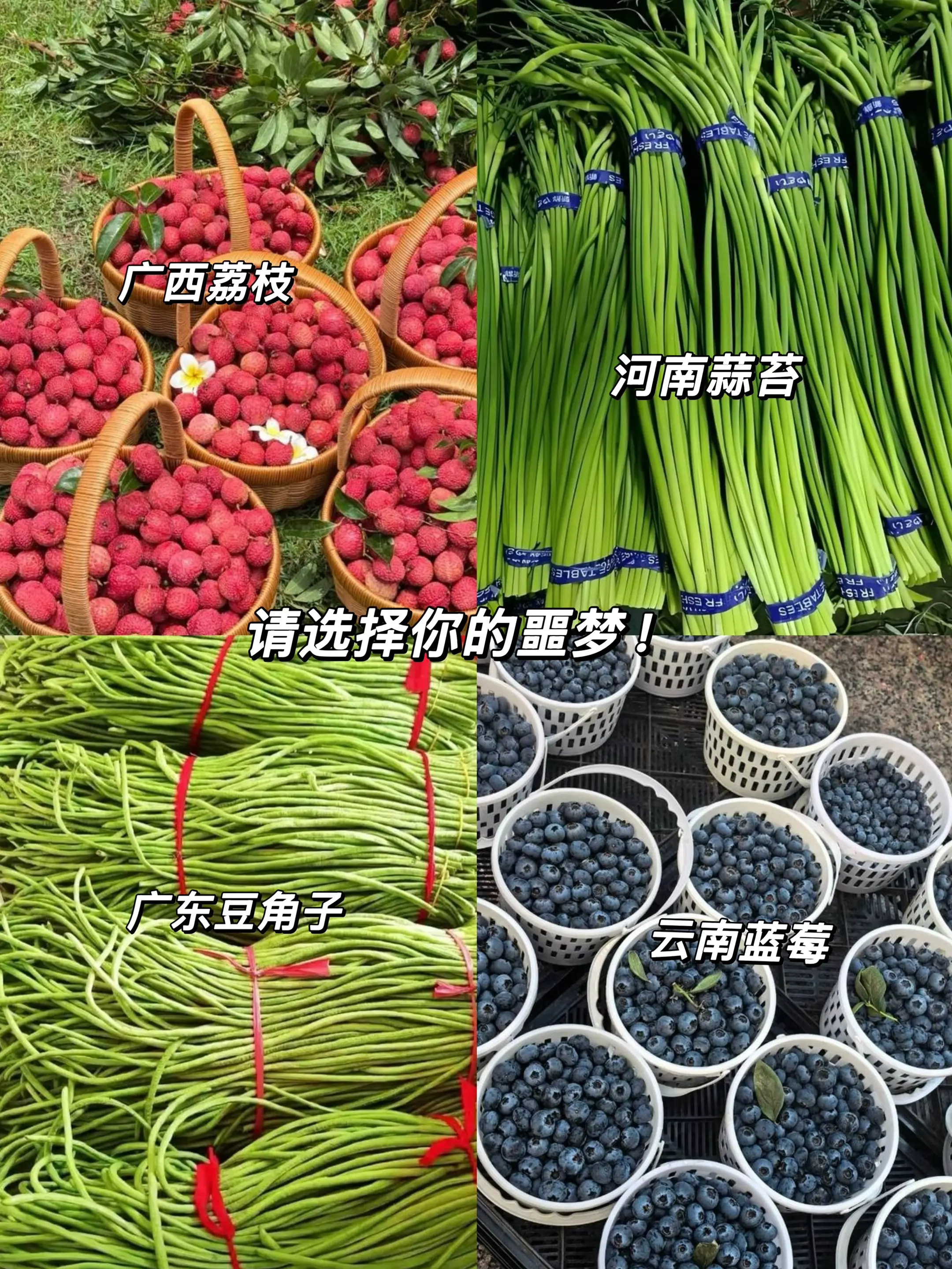 谁来懂一下河南，广东，广西，云南人的噩梦
