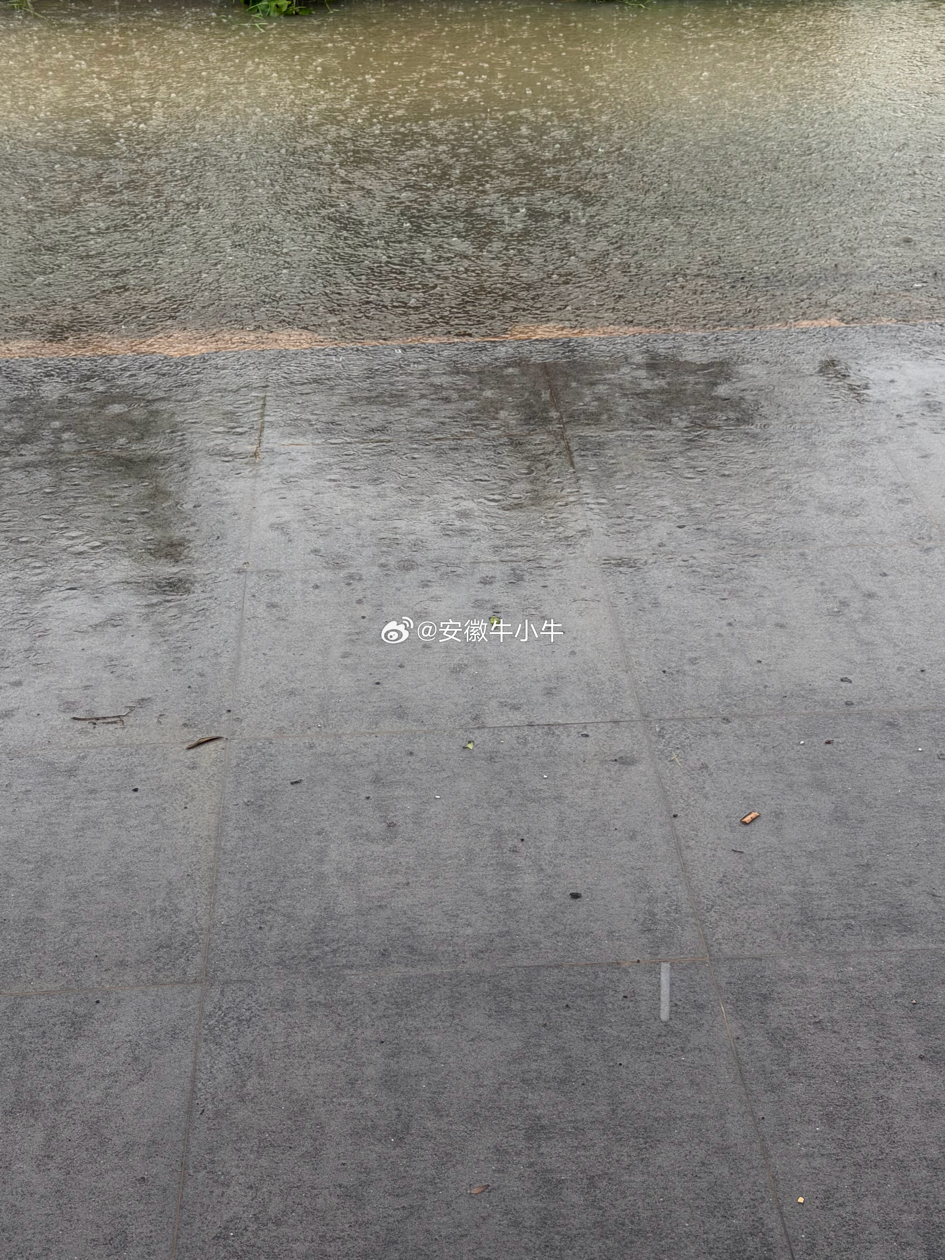出不来了….. 