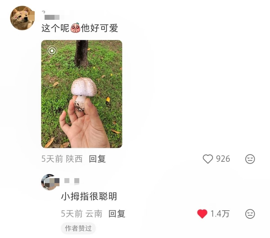 云南IP还是太权威了，一句“小拇指很聪明”绝了 
