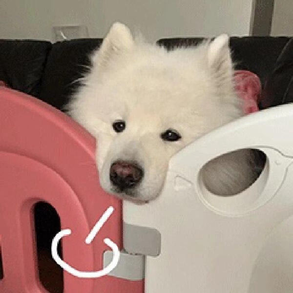 同样的问题两代人有不同的答案 父母手机里存的是天气预报和孩子的照片，我们手机里存