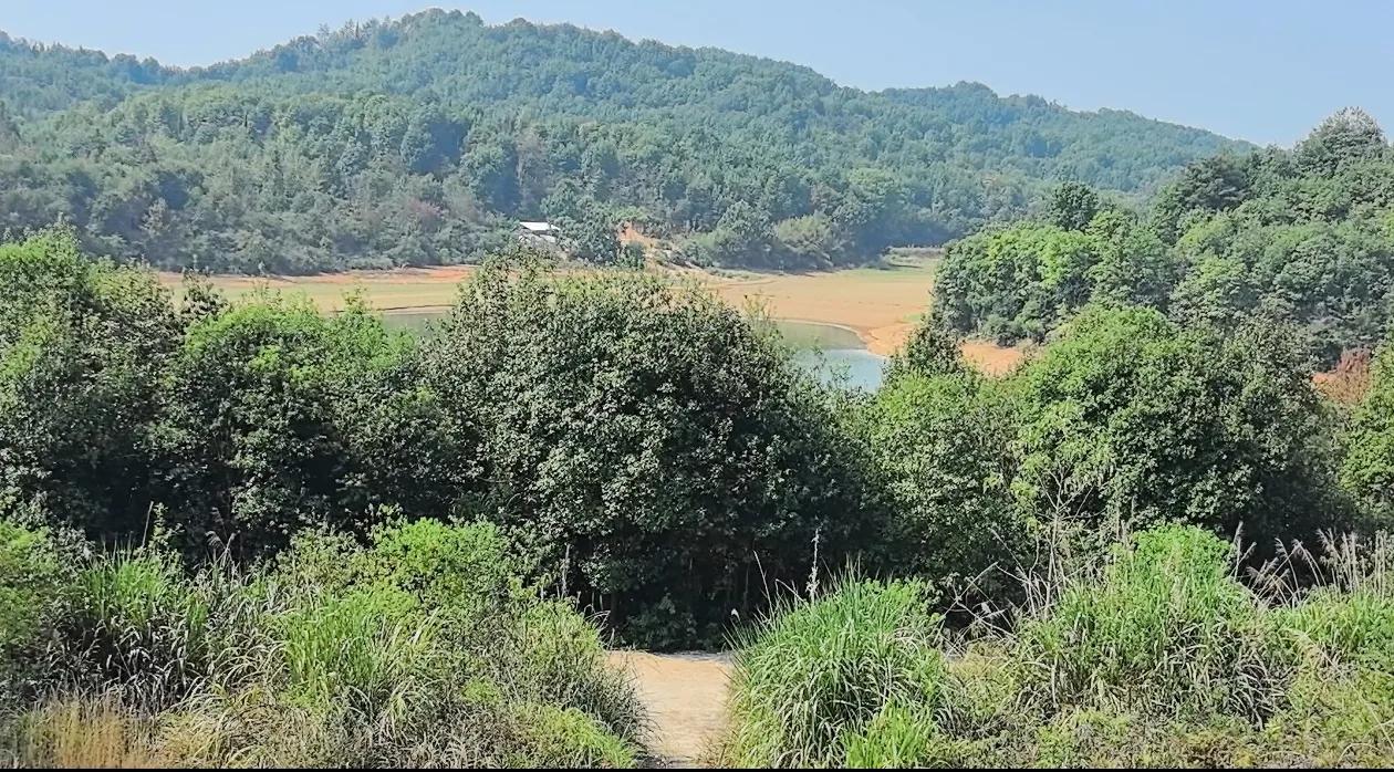 前几天去了江西上饶市，为东家勘察阴阳用地，觅得二处宝地……
​这几天上山，感觉比