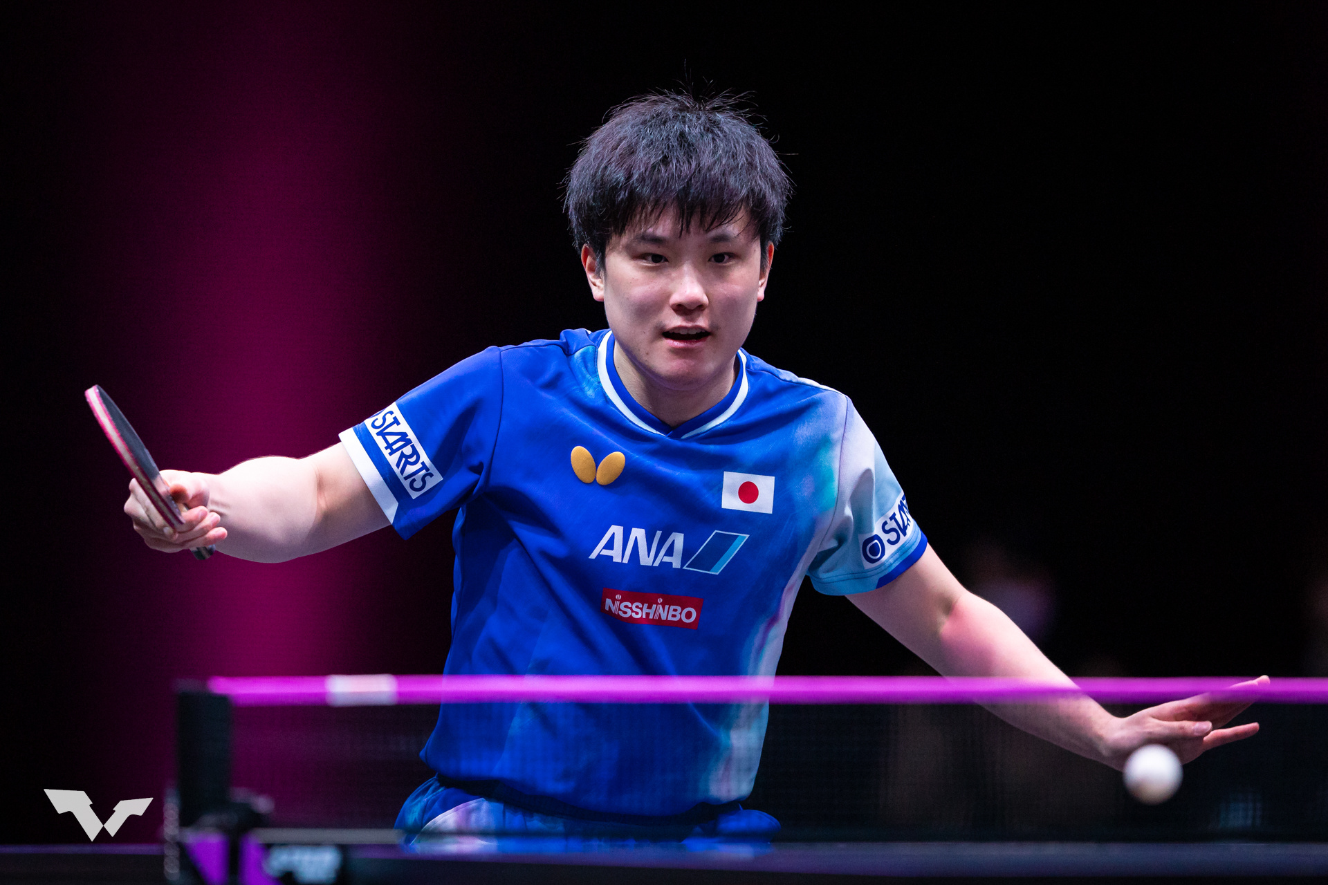 张本智和张本智和wtt多哈冠军赛2026 男单SF图集📷 cr:wtt 