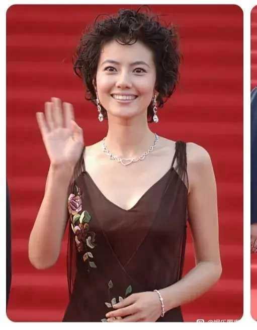高圆圆，这发型太显老了真不适合她你们怎么看 