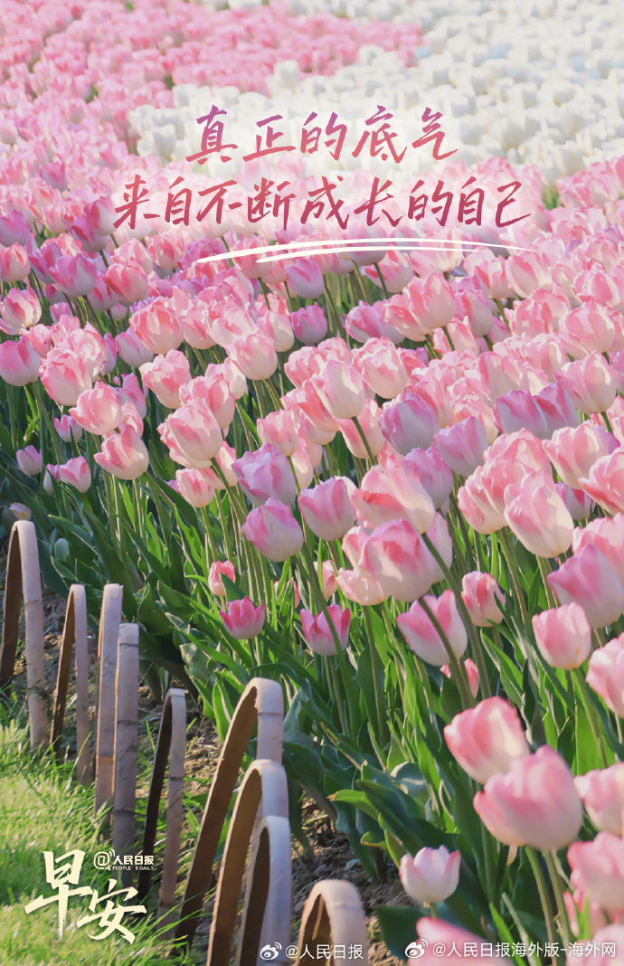 #向海外朋友问好# 【真正的底气来自不断成长的自己】人生的底气，并不是依赖外界的