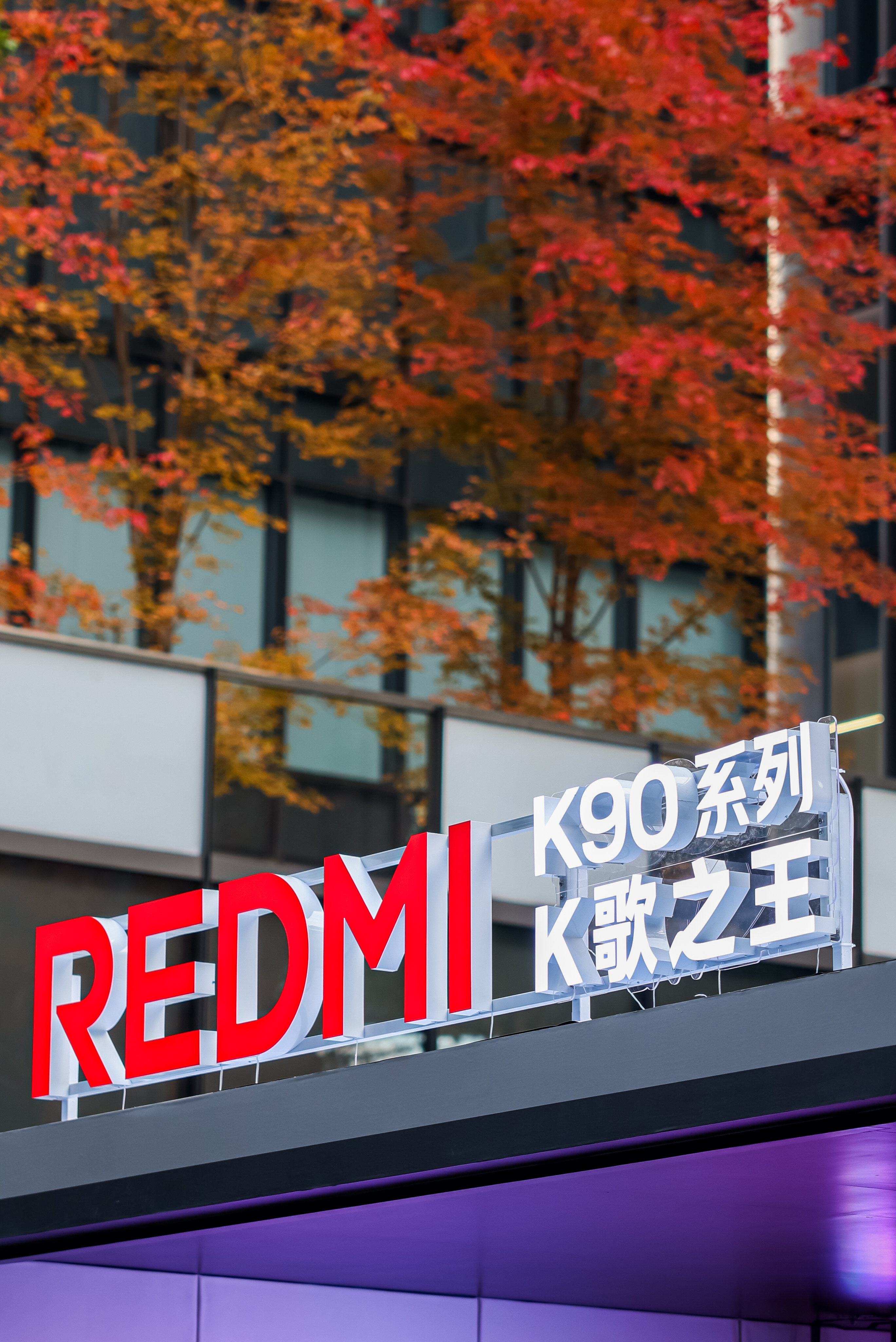 此时此刻的科技园，《K歌之王》快闪点配合深秋的枫叶背景，真的“好好听啊”~一起期