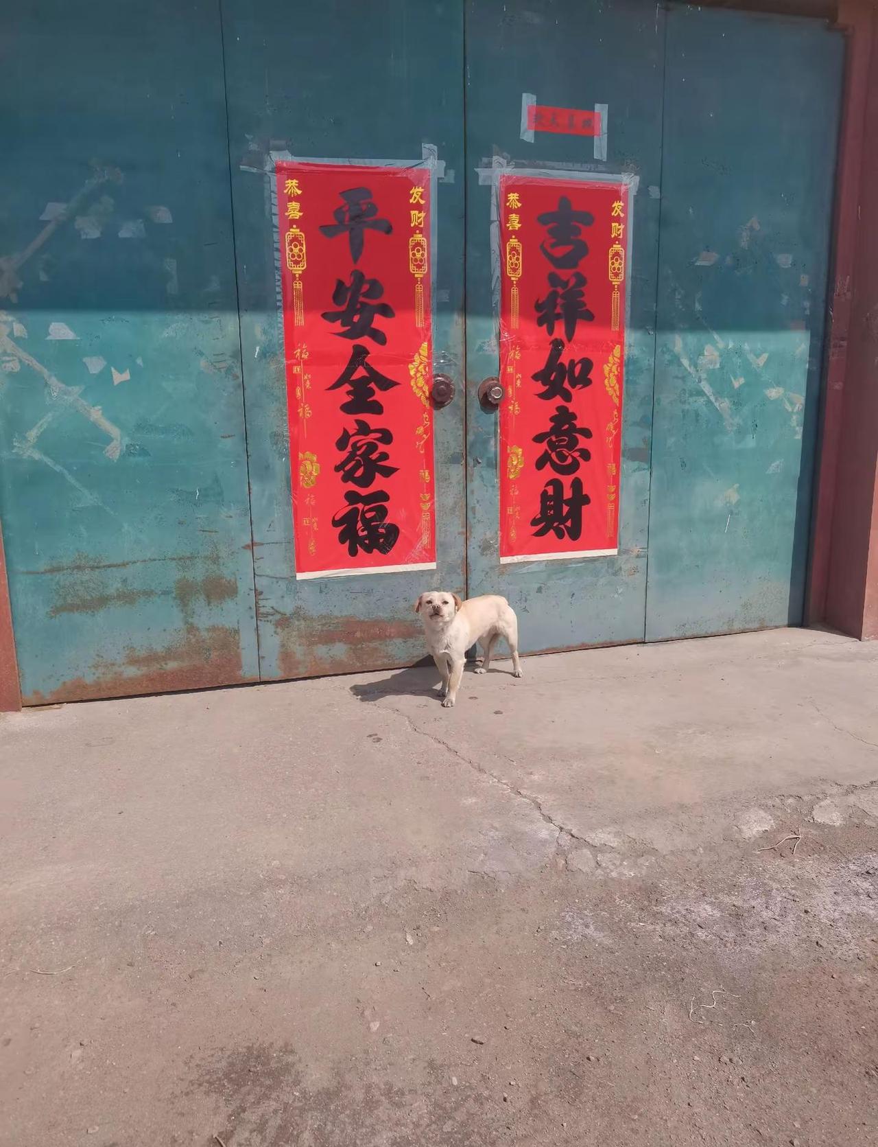 光个貂嘴…………病毒末到歌已来…