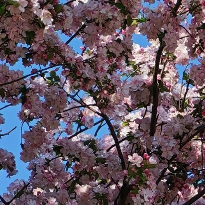 人人存善念，并能日行一善，则个人、家庭、社会一定安乐祥和。这世上，有时笑笑人家，