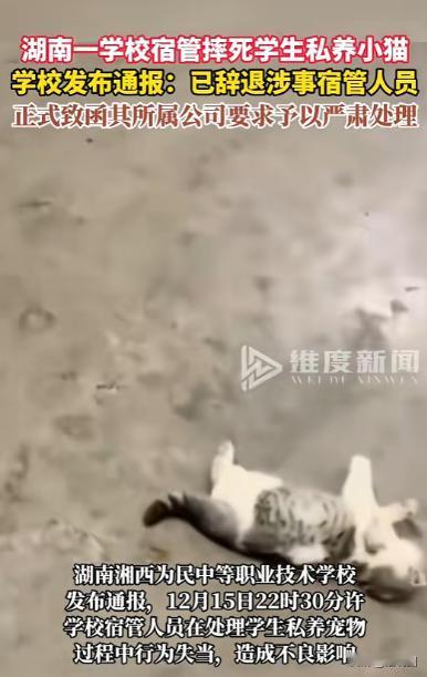 “严查到底！”12月15日，湖南湘西，一宿管查寝时，发现一名学生在宿舍私养小猫，