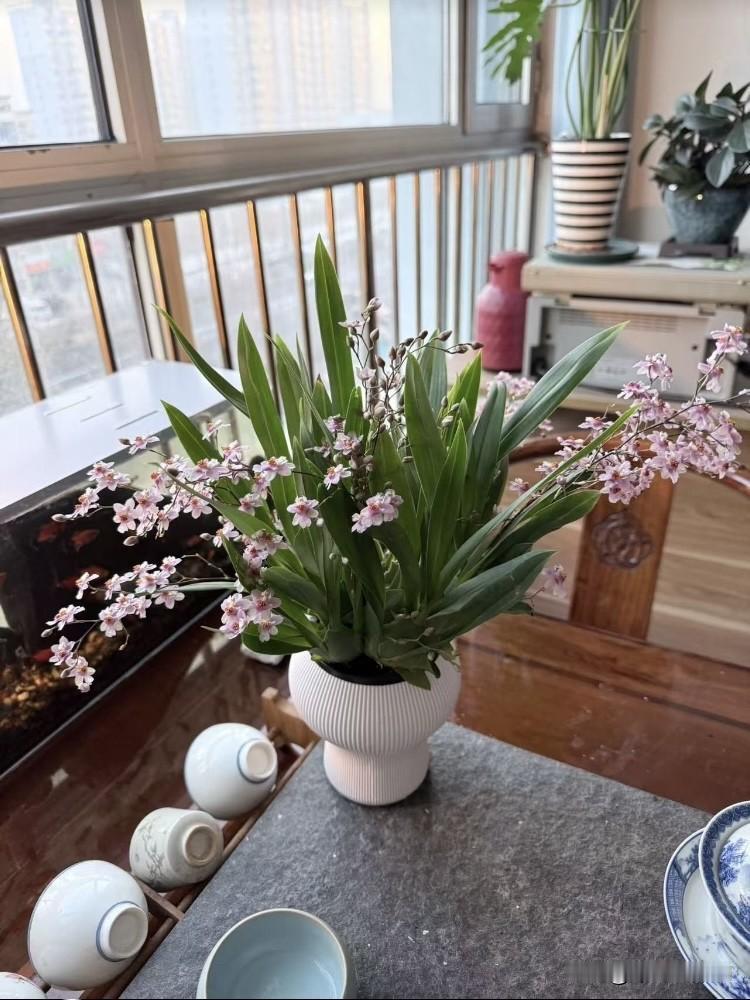 我外甥女去年订的婚，男方家给了13万礼金；今年两人准备结婚，男方家前段时间开始收