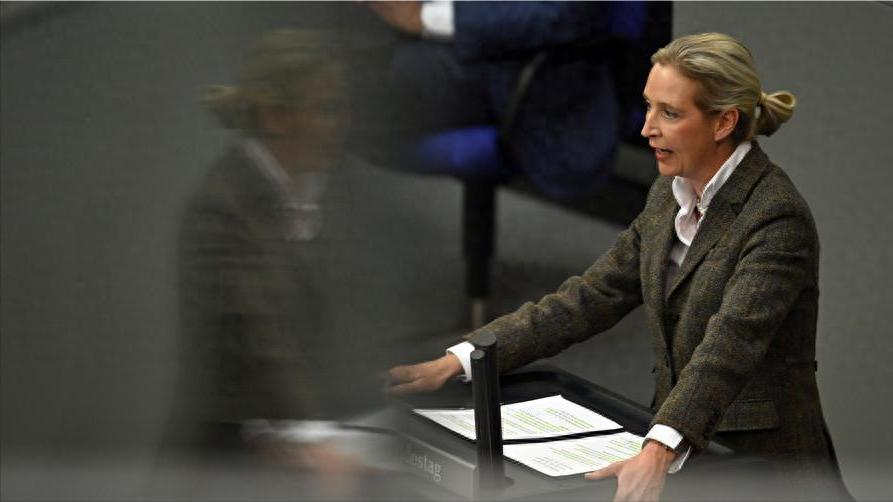 乌克兰贪腐案越挖越深，魏德尔直接喊停援乌，正义终于发声了

最近这段时间，乌克兰