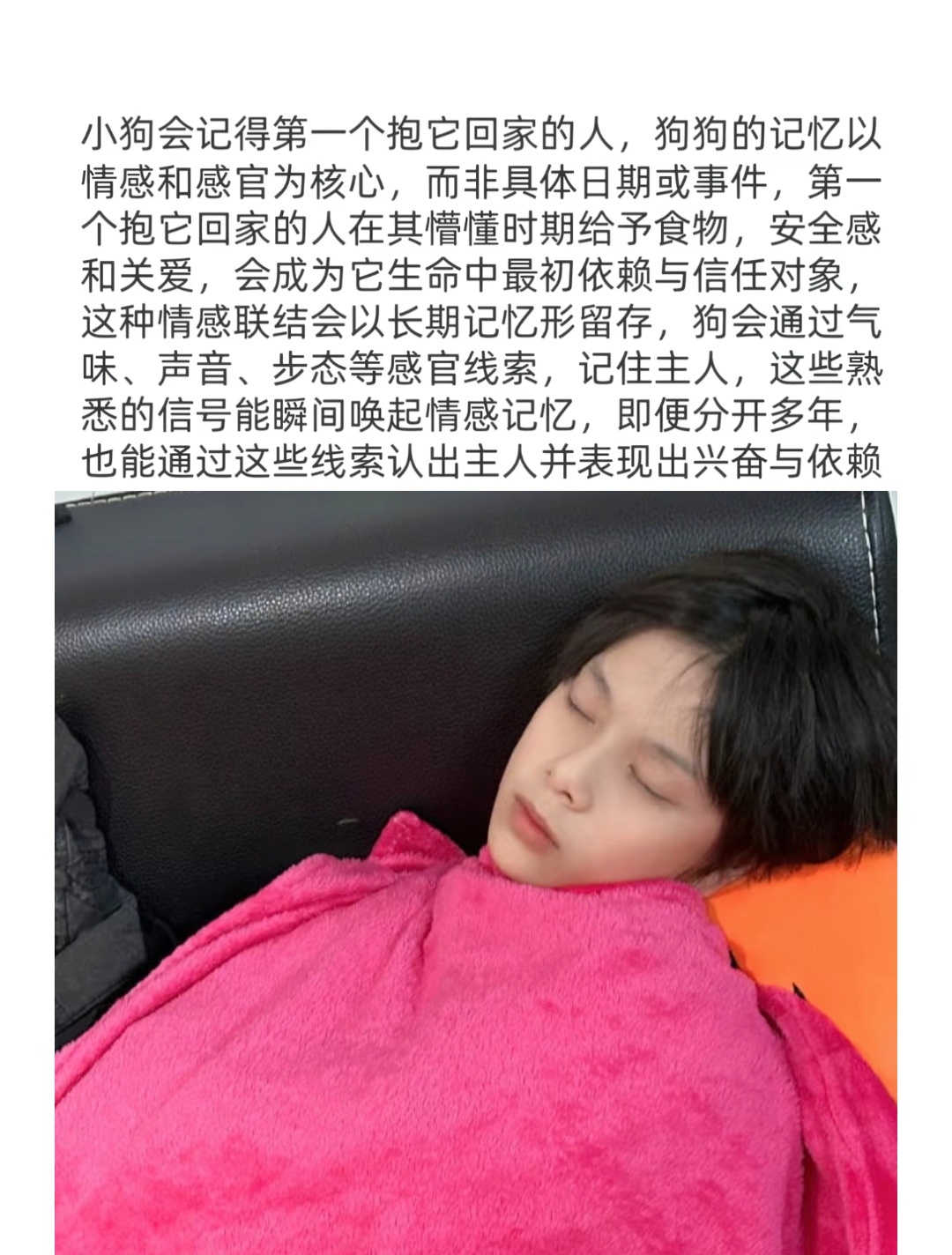 分享图片 ​​​