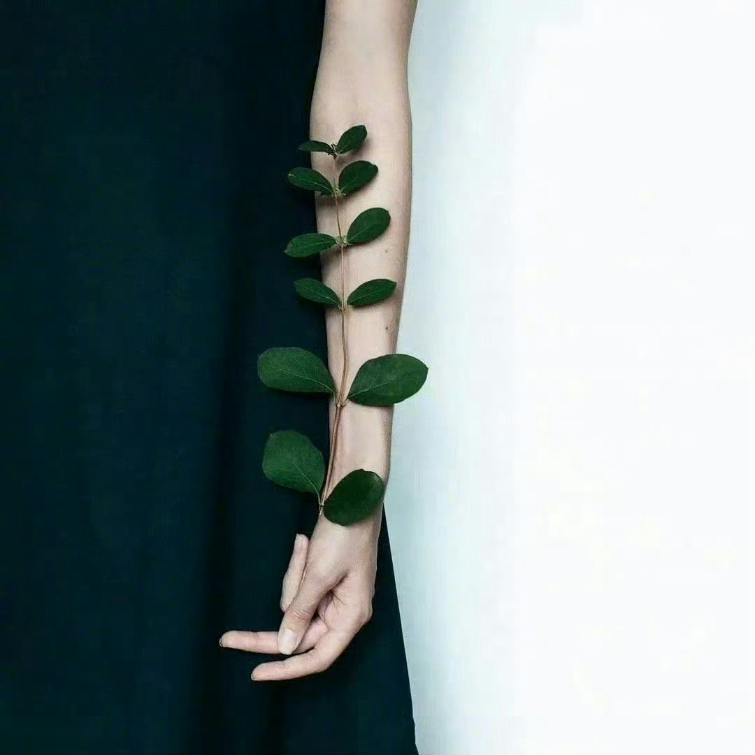 最值得人骄傲的东西，是旺盛的生命力，这是人活一辈子最大的本领。——《半山文集》 