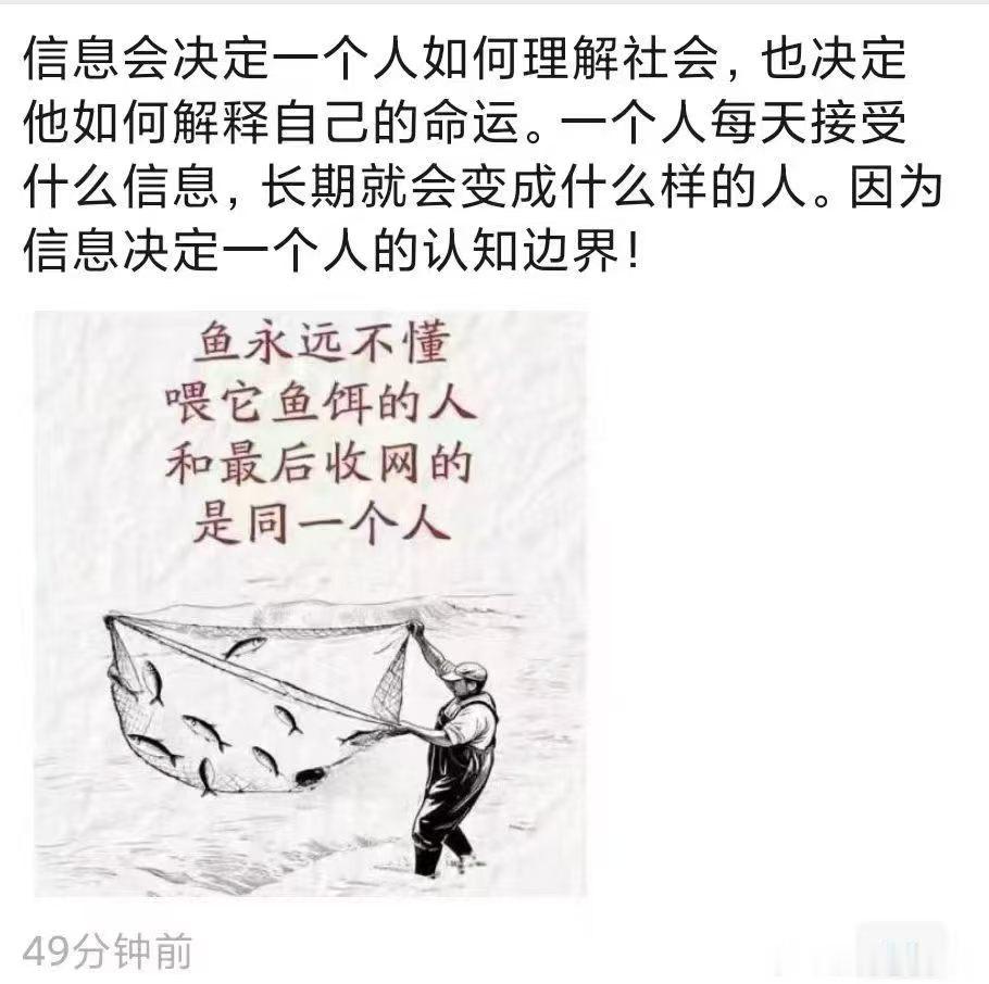 民间疾苦声，总是很细小，因为被湮没在宏大叙事的慷慨激昂中。《黑箱》的作者，日本女