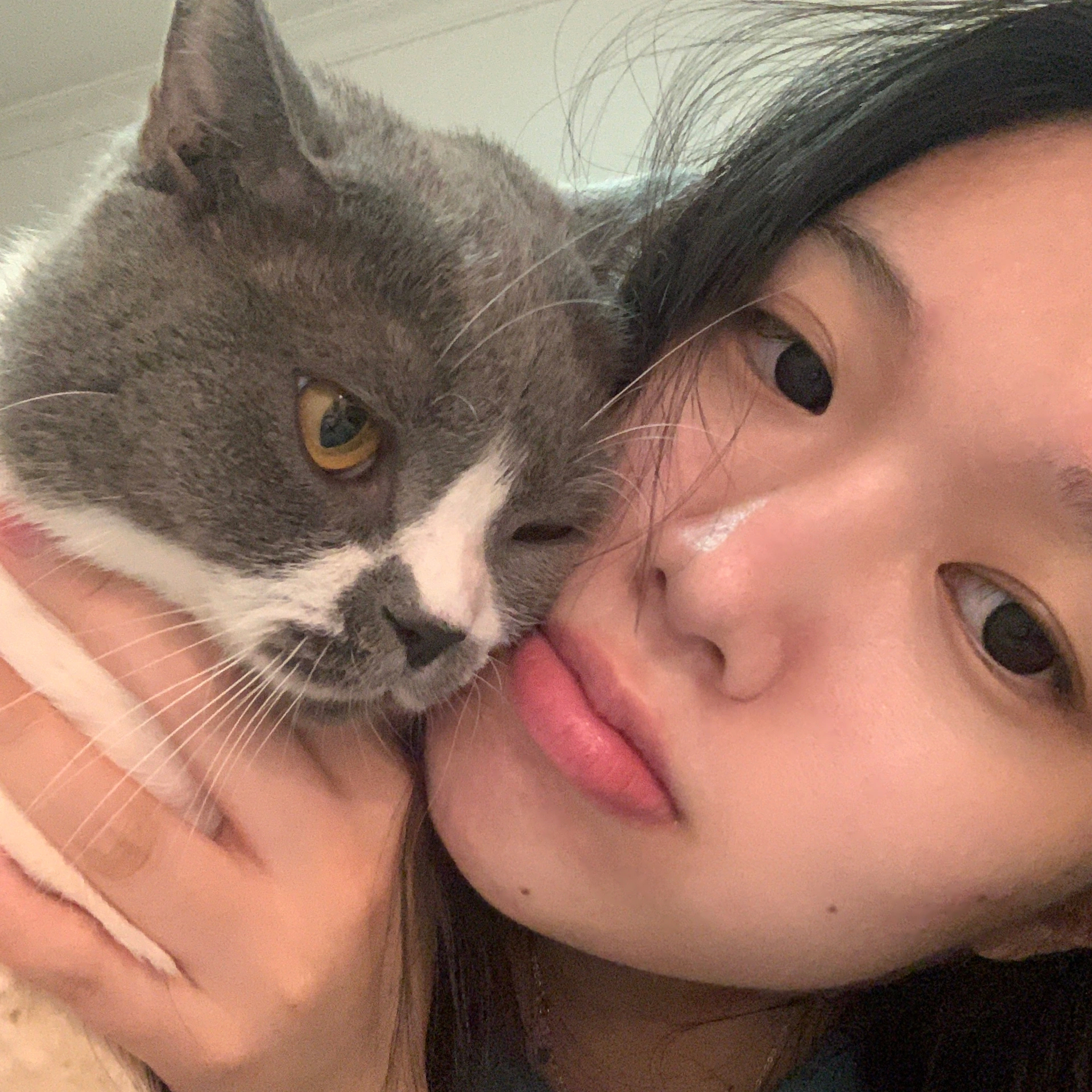 小动物合照头像 ‎ॱଳ͘  ༘🐈 ✩‧₊˚ ​​​