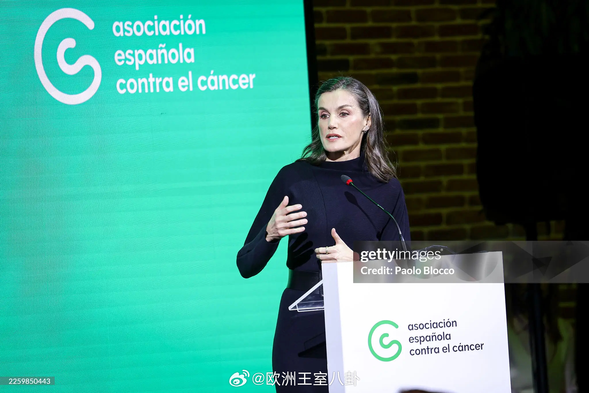 2.4 西班牙王后莱蒂齐亚出席癌症日活动，大衣和裙子都来自cos，乌漆嘛墨墨黑 