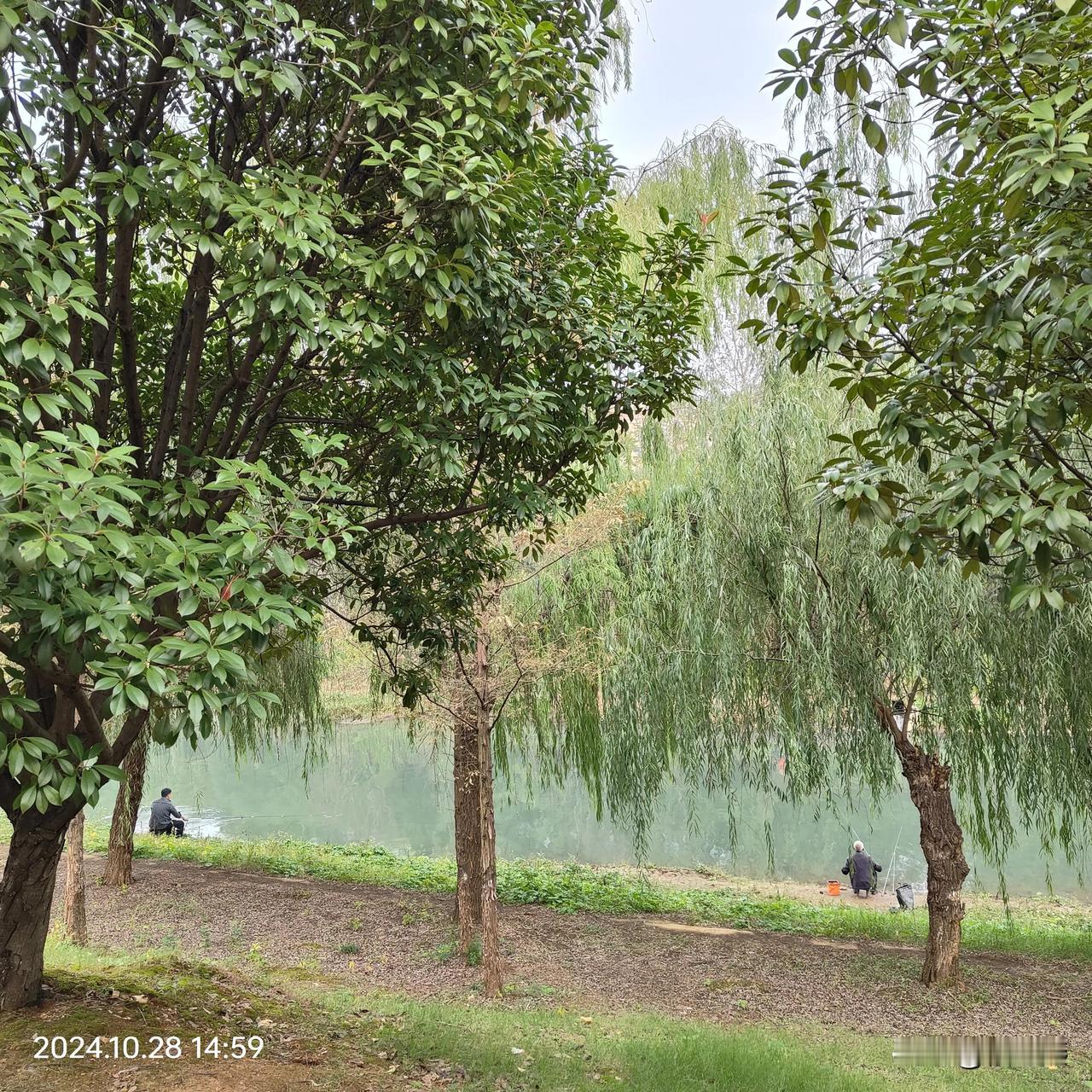 若不是亲眼所见，我是万万不敢相信的。

就这破水沟里，还有人在这钓鱼？

我就想