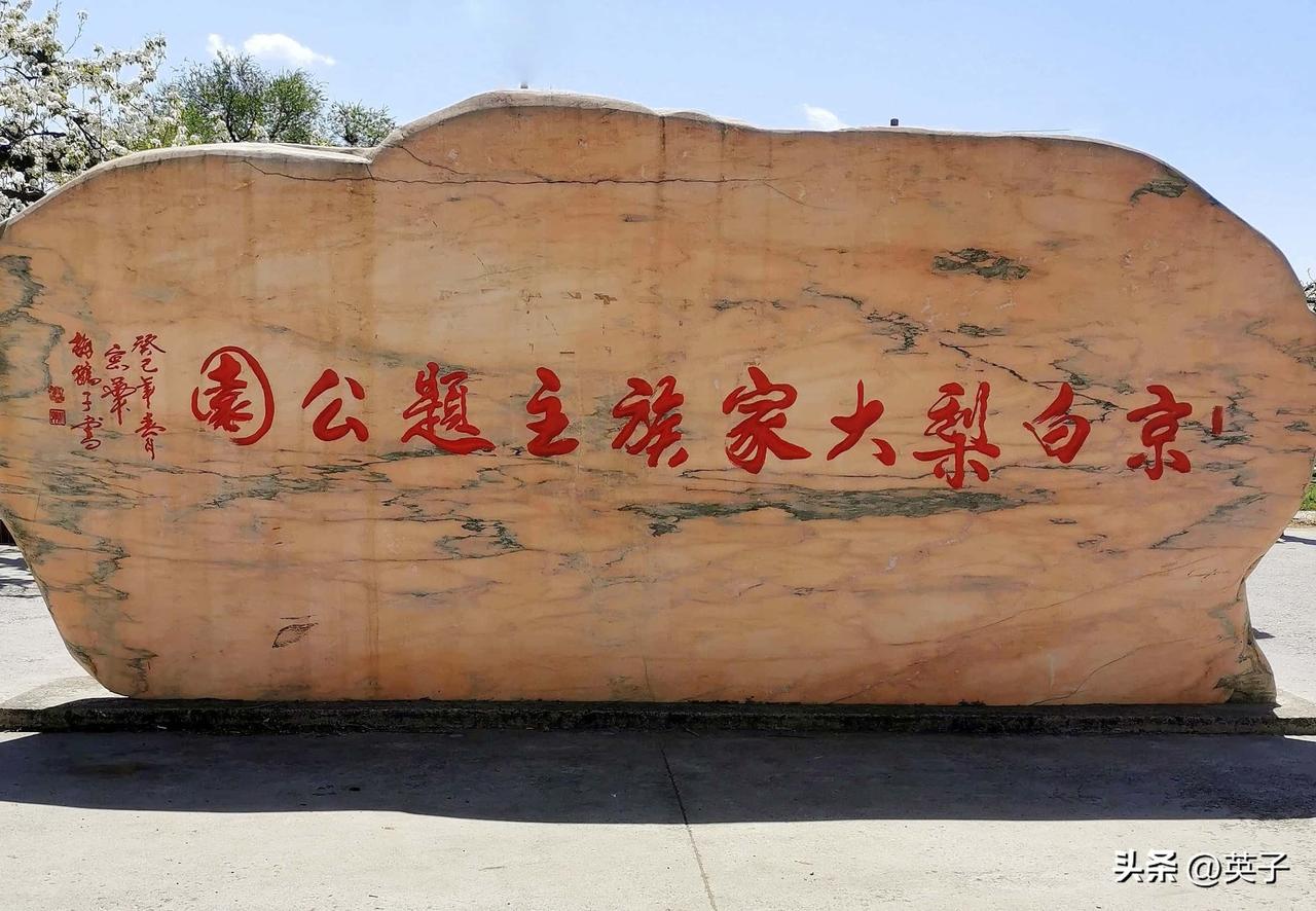 房山梨园，赴一场春日之约
清明踏青赏梨花，不必远行。京西南房山琉璃河镇贾河村的“