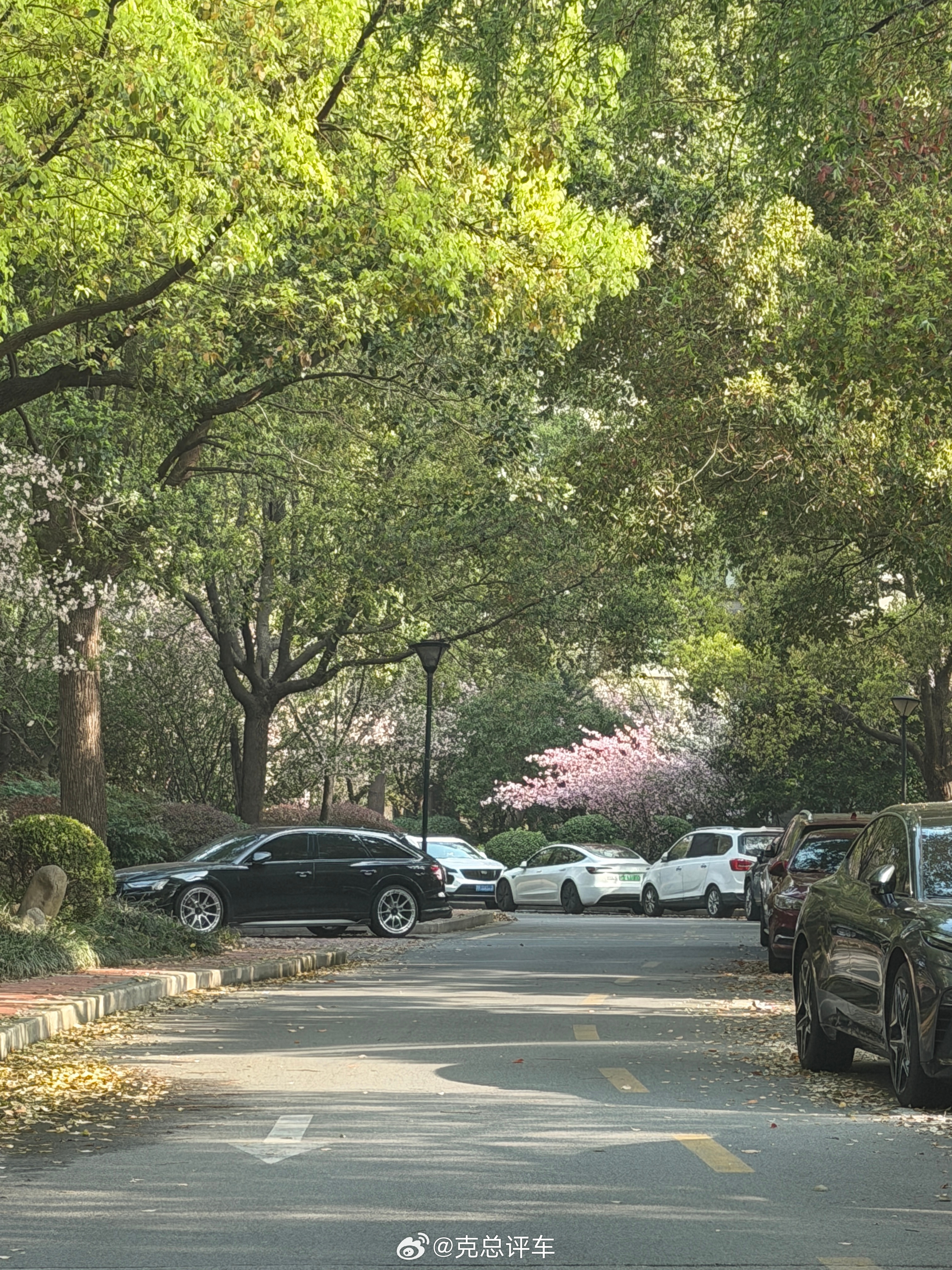又到了小区最美的时候！ 上海