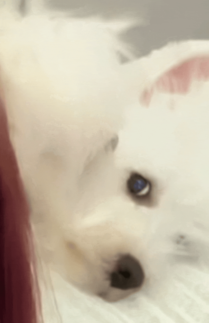 哈哈哈哈哈哈哈哈哈哈哈哈哈哈哈哈哈哈哈哈哈哈哈哈哈哈哈哈哈哈哈哈哈哈哈哈我笑死了