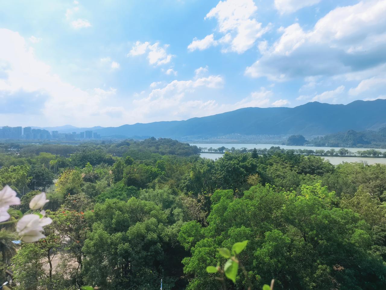 广东热辣辣的夏天正式到来了，今天下午气温估计高达37度，体感温度更高。[发怒][