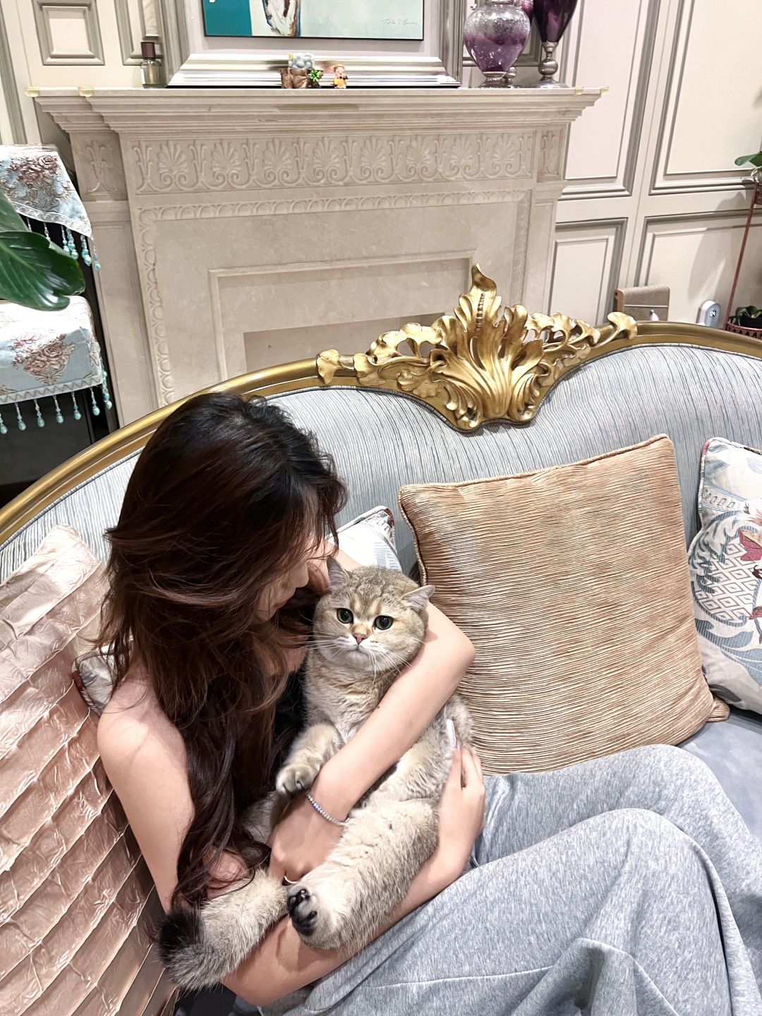 传说猫猫和人类曾签订契约，人类免去猫猫