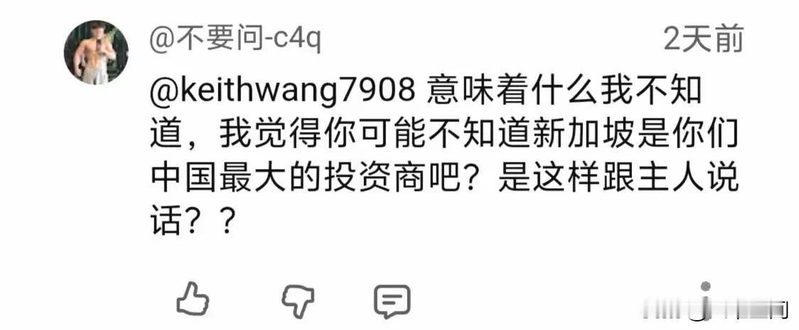 这才是新加坡华人对我们最真实的视角，有新加坡华人网民称新加坡是中国的最大投资商，