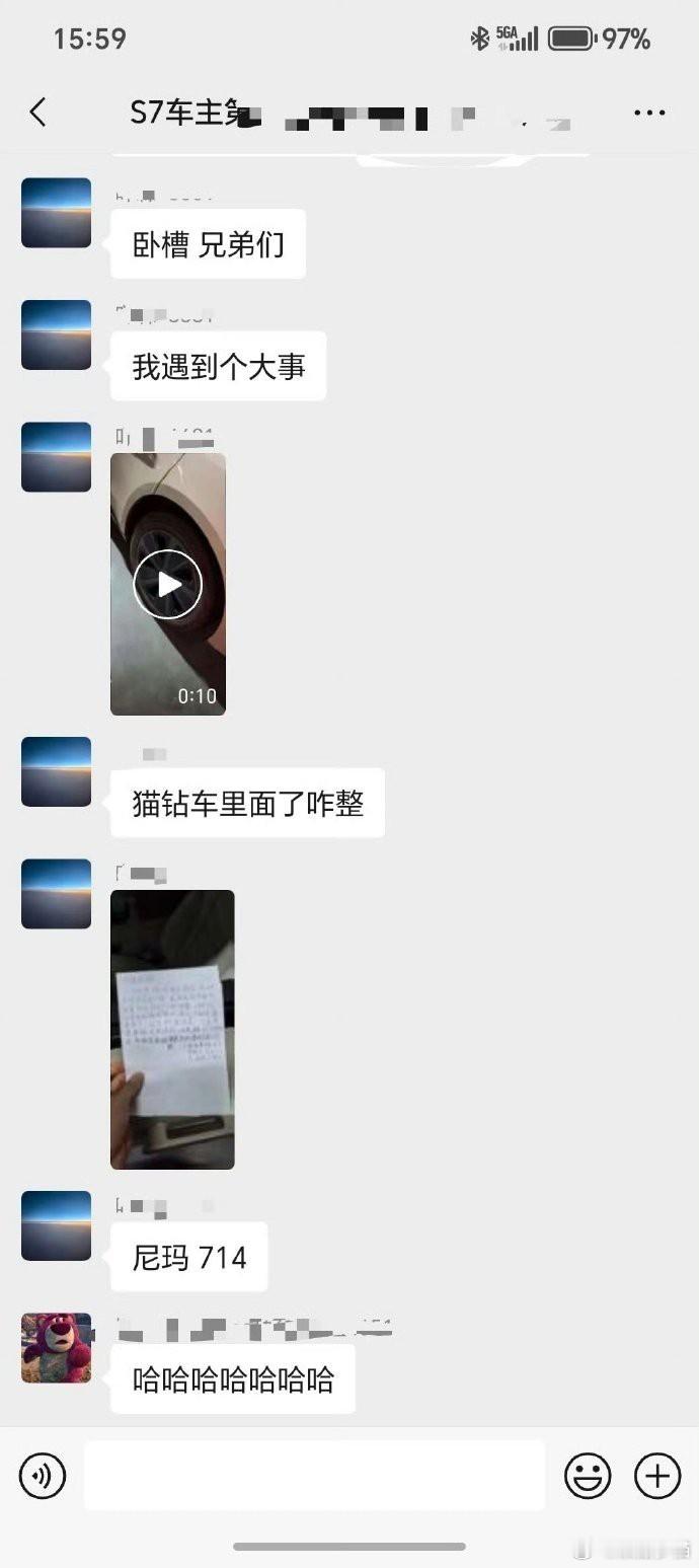 早晨准备出门，却意外地在车底下发现了一只蜷缩着取暖的小猫。本想轻轻把它赶出来，却