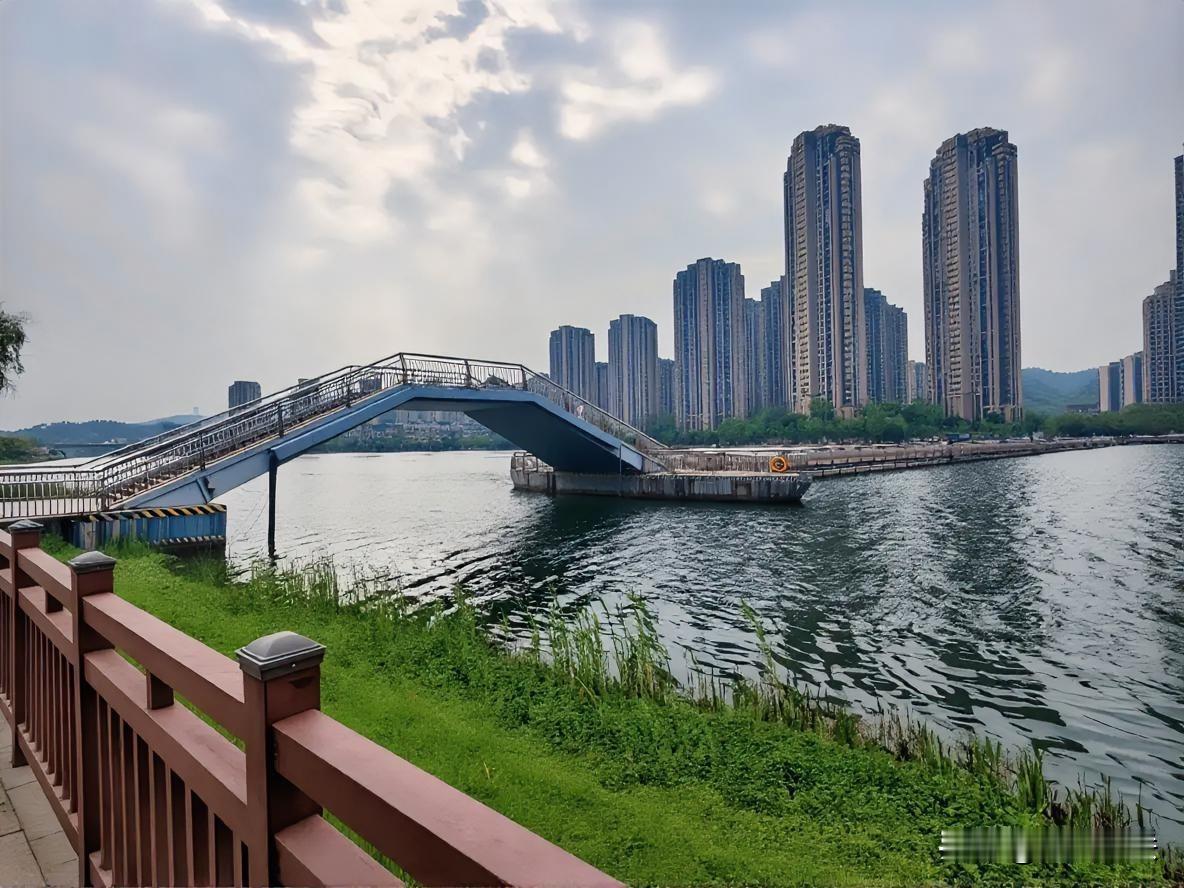 忆罗启厚老师
鸭绿江边曾饮马
九塘湾里可拾柴
元里坪中仰文采
岳麓山下忆君才
注