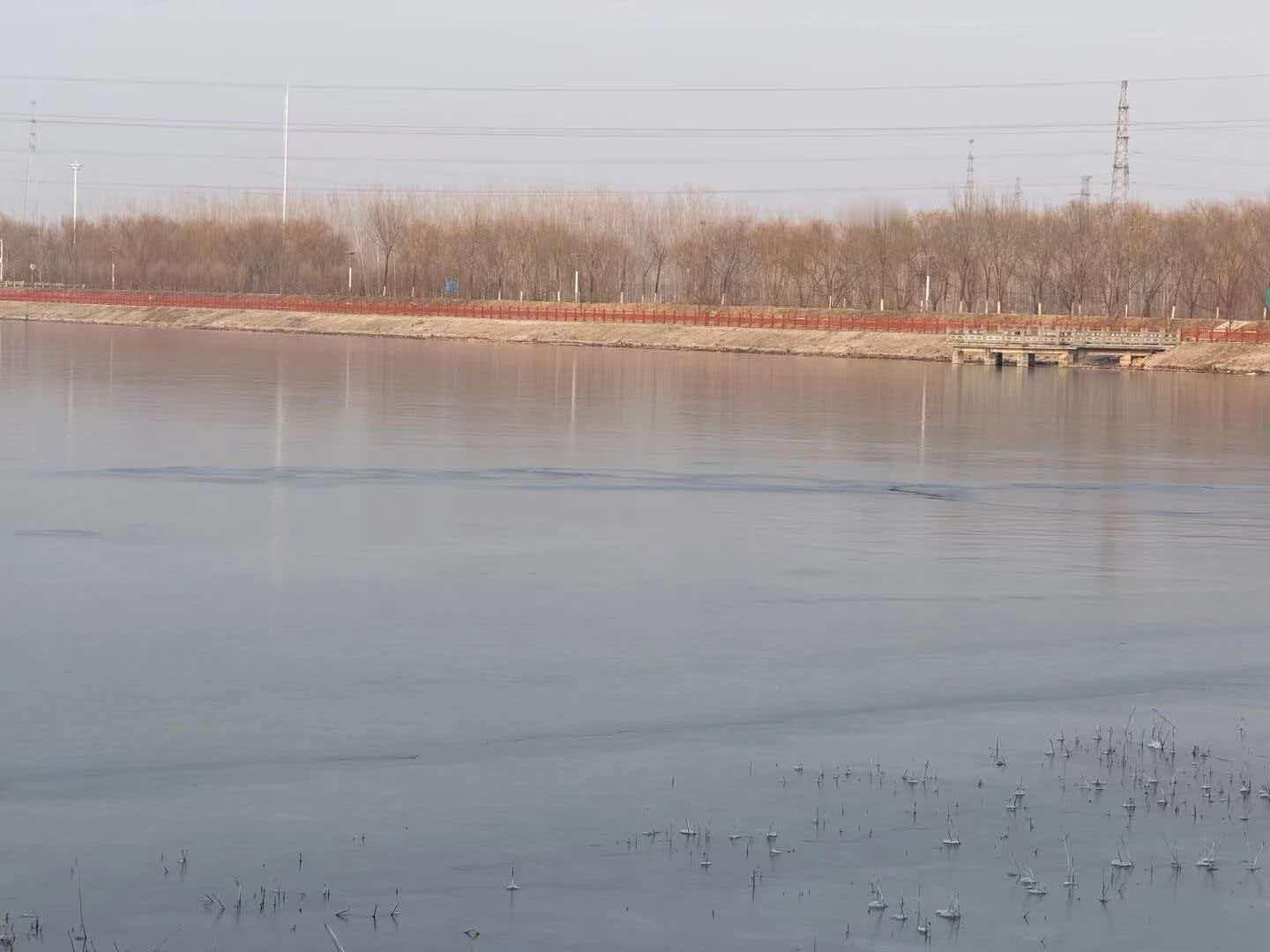 秦岭笑谈 【耕护连片沃野，筑牢粮安根基】青春三下乡曲阜师范大学感悟中的三下乡寒假