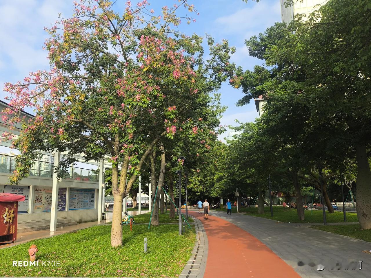 #分享一张你那里清晨的照片#