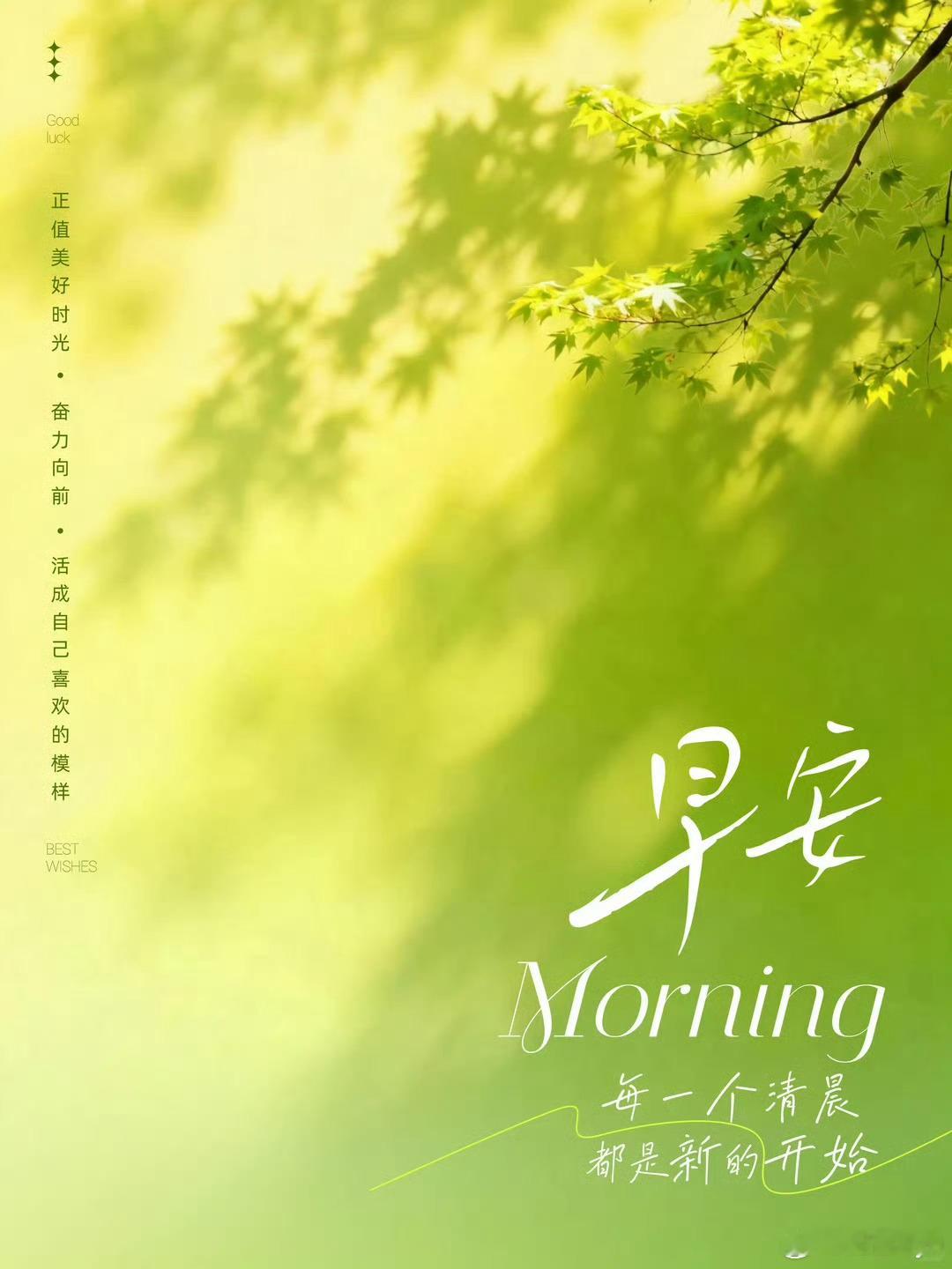 9月3日，星期四，早安🌿 人生没有白费的努力，也没有碰巧的成功。一切看似无心插
