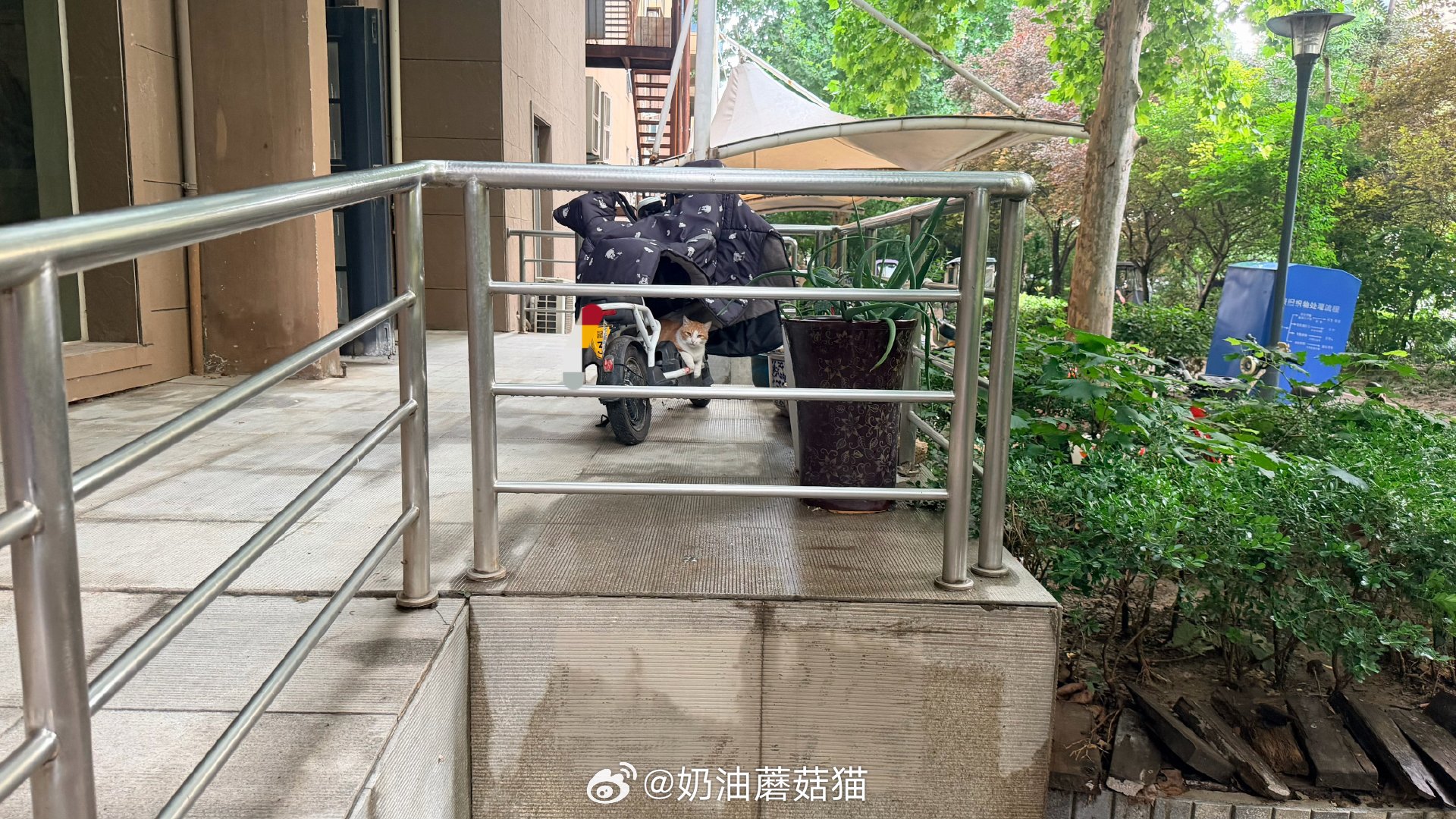 🐱：我趴我的！          你走你的！！！ 