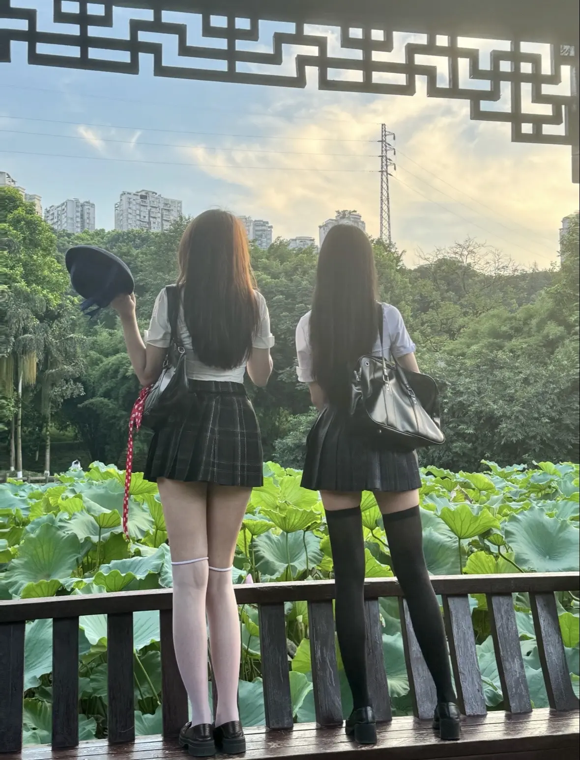我爱jk
