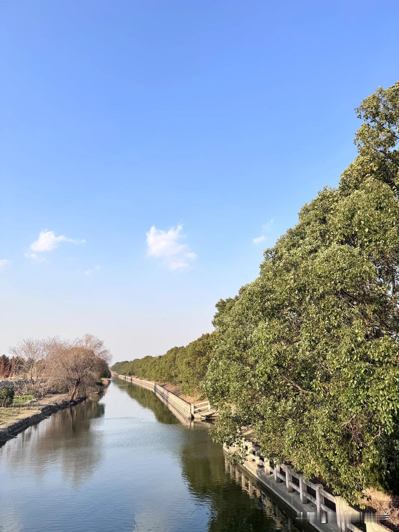 今年冬天，咋还不冷呢？

今天已经是三九第一天了，话说“三九严寒”，可此刻室外艳